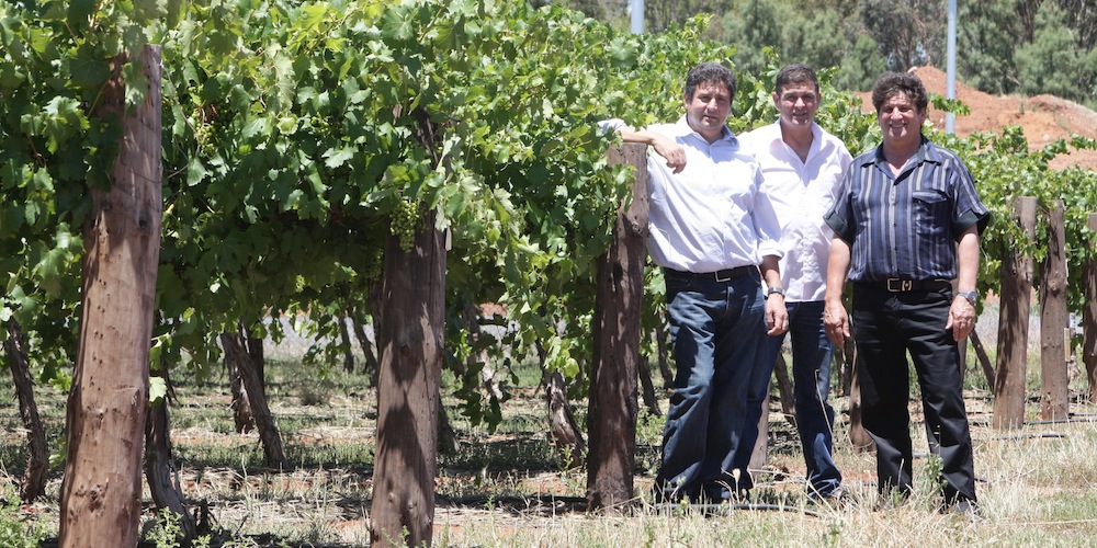 The Casellas In Griffith, New South Wales, the Casella family share the secrets behind their multi-million dollar global success - Yellow Tail wine.