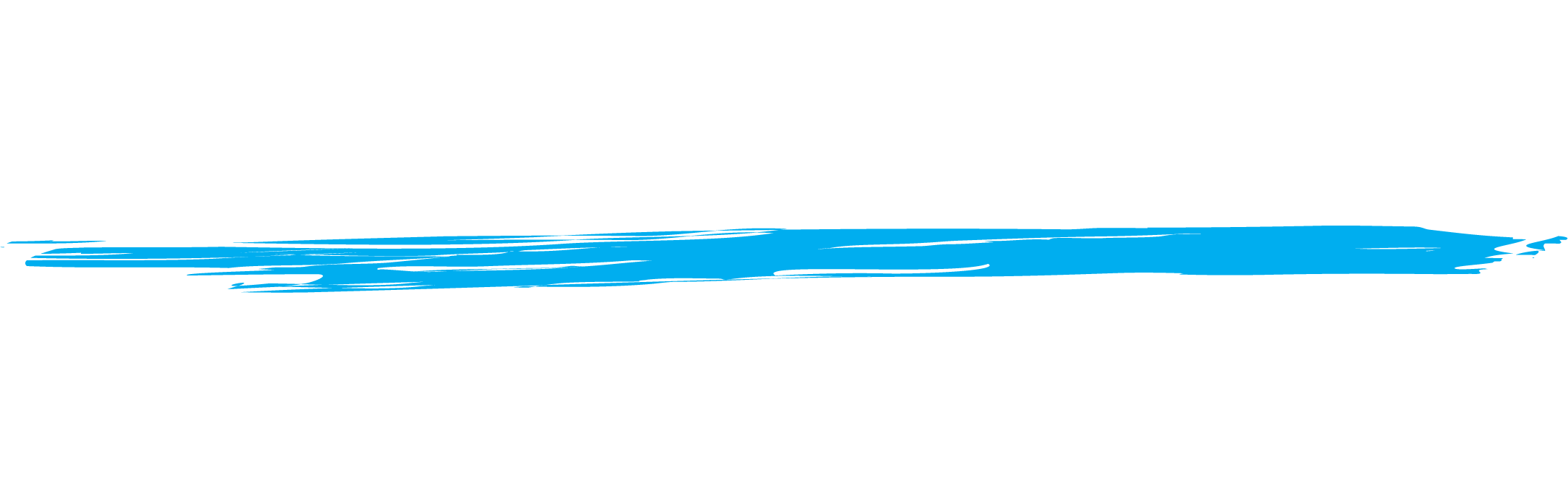 Shark Island Foundation Logo